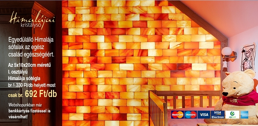 Himalája sótégla akció